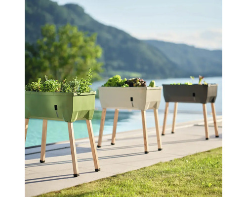 Trois jardinières surélevées en plastique avec pieds en bois sur une terrasse