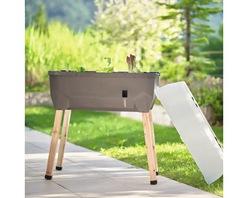 Jardinière surélevée avec plantation de salades et couvercle dans le jardin