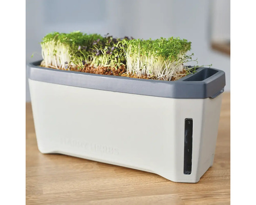 Sprossenbox mit verschiedenen Sprossen