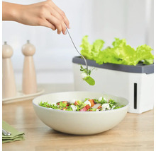Salat mit Gemüsepflanzgefäß und Salatbesteck