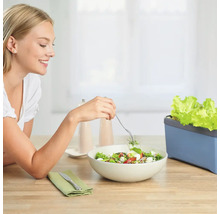 Frau isst Salat neben einem Salatbeet für den Innenbereich