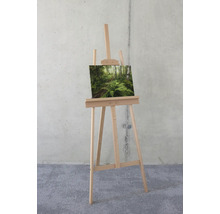 Leinwandbild Mystic Birch Grove 40x30 cm