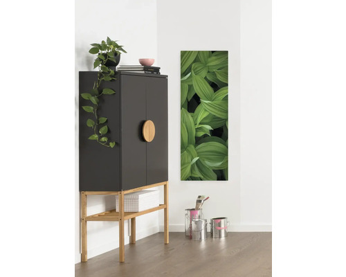 Vue d''une pièce avec une armoire, une plante et une décoration murale