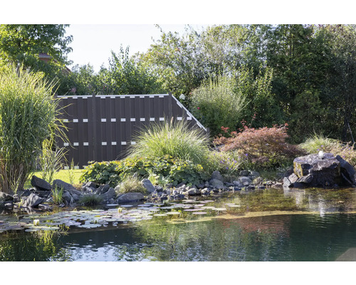 Scène de jardin avec bassin, plantes et clôture
