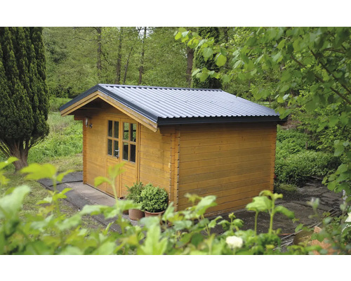 Abri de jardin en bois avec fenêtre et toit en métal dans le jardin