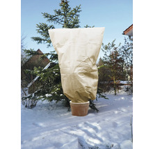 Épicéa planté avec housse de protection hivernale