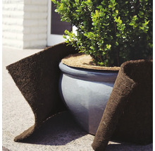 Plante en pot avec un tapis de protection hivernale