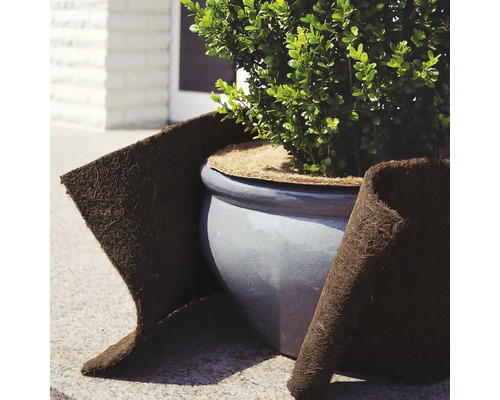 Plante en pot avec un tapis de protection hivernale