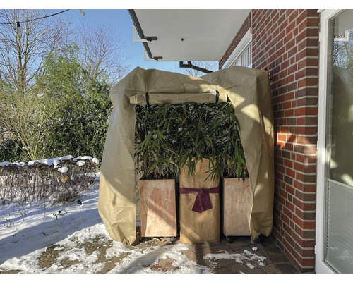 Pflanzen im Wintervlies auf einer Terrasse