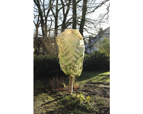 Baum mit Winterschutzhaube und Stammwicklung im Garten