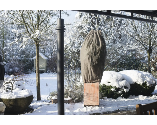 Pflanzenschutzhaube im winterlichen Garten