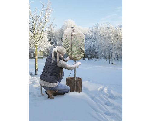 Une femme installe une housse de protection hivernale sur un arbre dans le jardin