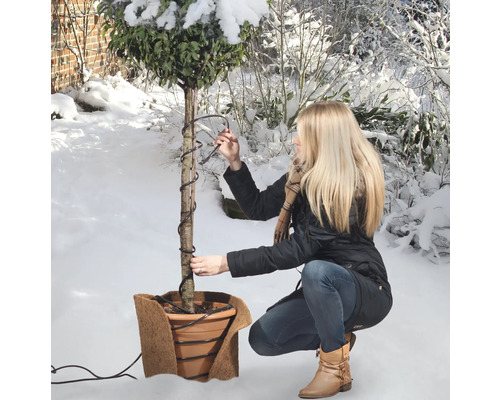 Une femme fixe un câble chauffant sur un arbre en pot avec une protection hivernale dans un jardin enneigé.