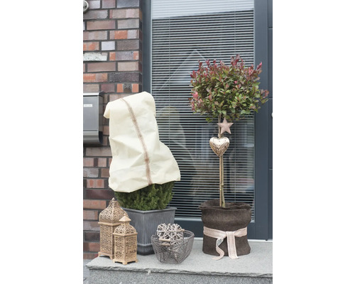 Entrée de maison décorée avec des plantes en pot et des lanternes.