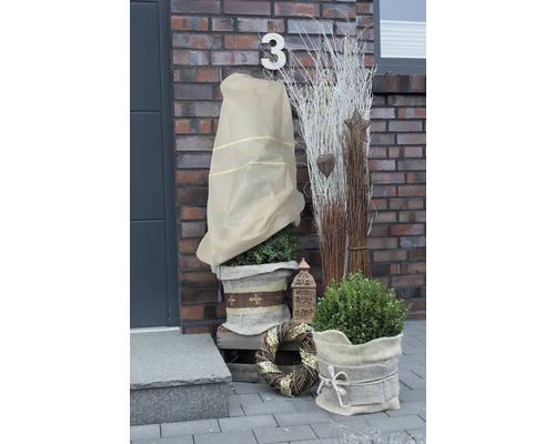 Arrangements de plantes décoratives avec pots de fleurs, housse de protection hivernale, couronne décorative et objets décoratifs devant une porte d''entrée.