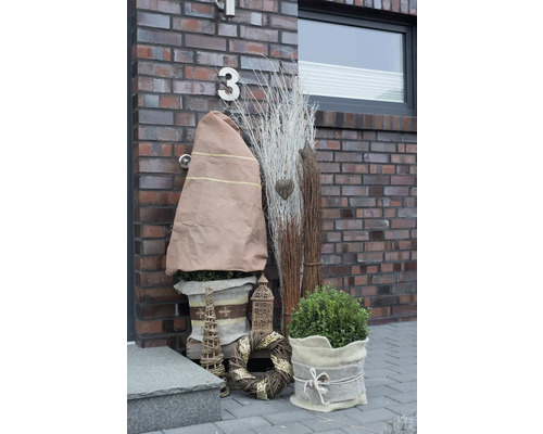 Arrangement de plantes décoratives devant une porte d''entrée avec des plantes, une protection hivernale, une couronne et des éléments décoratifs.