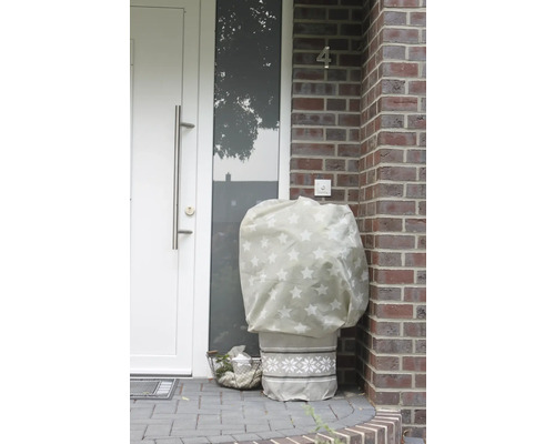 Espace d''entrée avec pot de fleurs et housse de protection hivernale à motif étoilé