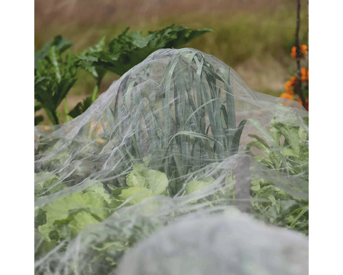 Gemüsegarten mit Pflanzen, die mit einem Schutznetz abgedeckt sind.
