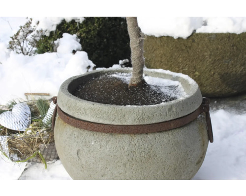 Pflanzkübel im Garten mit Schneedecke
