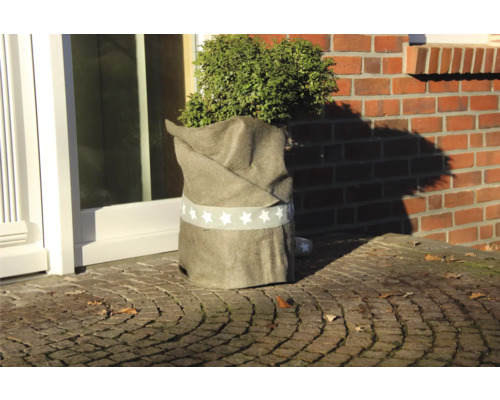 Plante emballée avec motif étoile comme protection hivernale