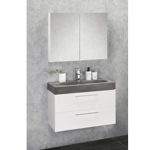 Armoire de toilette Differnz Somero 80 x 13 x 66 cm blanc haute brillance 2 portes