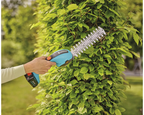 Taille-haie sans fil Gardena en utilisation sur une haie