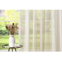 Scène avec rideau, table et vase avec fleurs séchées