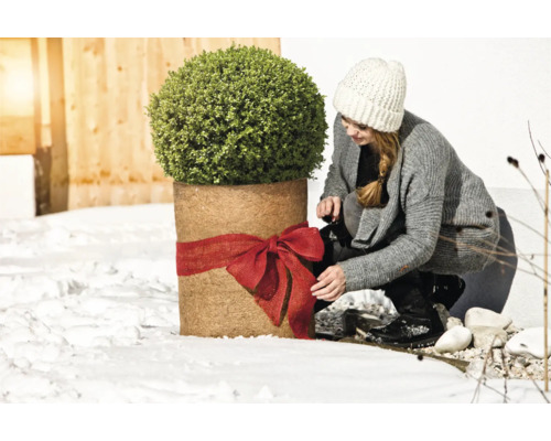 Femme décorant une plante en pot en hiver avec un ruban rouge