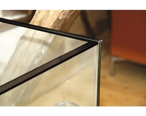 Detailansicht vun engem Aquarium mat Glas a schwaarze Frame