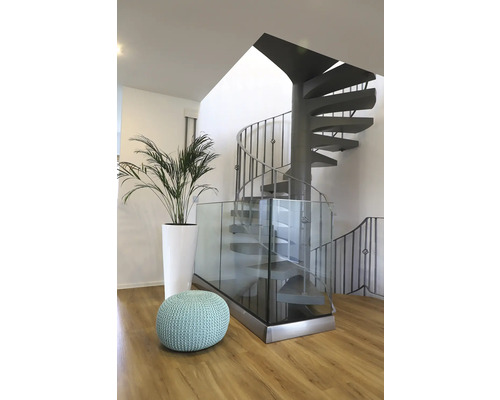 Photo d''intérieur avec escalier en colimaçon, garde-corps en verre, plante et pouf