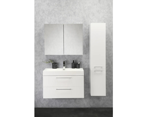 Salle de bains avec meuble sous-lavabo, armoire de toilette et armoire haute