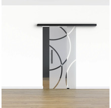 Pertura Glasschiebetür Komplettset Glera Loop 01 1025x2050 mm inkl.Beschlag Selir Aluminium schwarz,Stangengriff