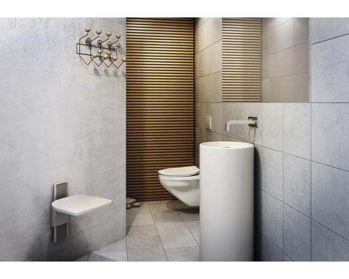 Modernes Badezimmer mit Toilette, Waschbecken, Wandgarderobe und Duschsitz