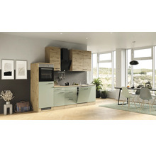 Cuisine complète Flex Well avec appareils Cara 280 cm vert chêne mat démontée variante réversible 00012744