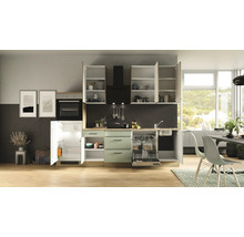 Cuisine complète Flex Well avec appareils Cara 280 cm vert chêne mat démontée variante réversible 00012744