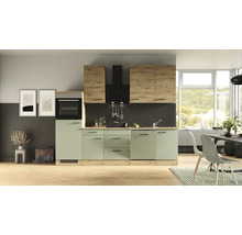 Cuisine complète Flex Well avec appareils Cara 280 cm vert chêne mat démontée variante réversible 00012744