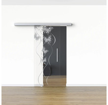 Porte coulissante en verre avec système de porte coulissante et décor de papillons