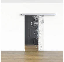 Porte coulissante en verre avec motif de papillon