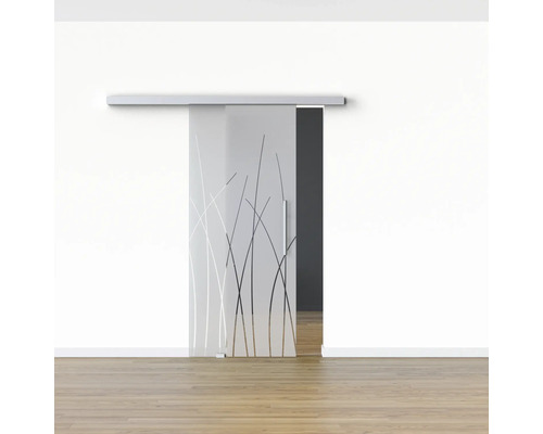 Porte coulissante en verre avec décor devant un mur