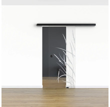 Pertura Glasschiebetür Komplettset Glera Blade 01 775x2050 mm Rechts inkl.Beschlag Selir Aluminium schwarz,Griffmuschel