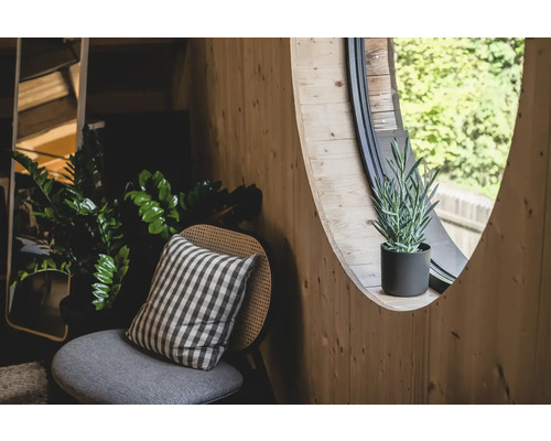 Helle Holzwand mit rundem Fenster, Topfpflanze, Stuhl mit Kissen und Zimmerpflanzen