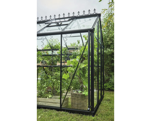 Serre avec plantes et étagères dans le jardin.