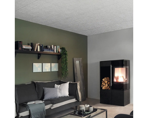 Salon avec plafond à caissons, canapé, étagère et poêle