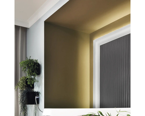 Zimmer mit Wandpflanzen, Spiegel und Deckenleiste