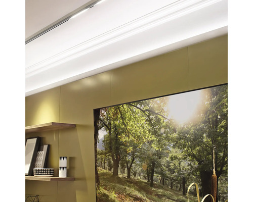 Vue intérieure avec panneaux muraux, étagères et tableau encadré représentant la nature