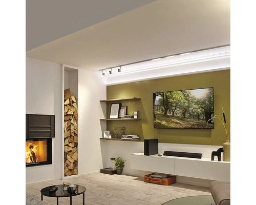 Wohnzimmer mit Kamin, Holzregal, Fernseher und Regalen