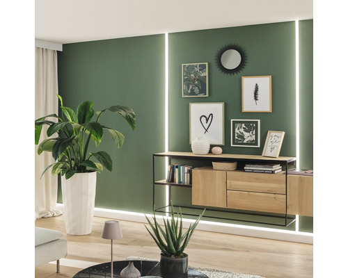 Wohnzimmer mit Sideboard, Zimmerpflanzen und Wanddekoration