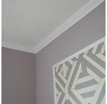 Deckenleiste-Set XPS A50 10 St. 1,5 m x 15 m 50 x 50 mm