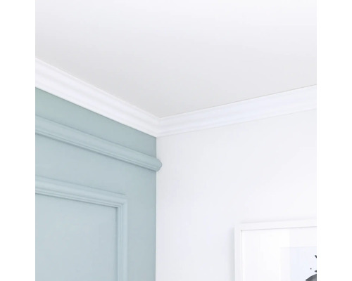 Ecke eines Raumes mit Deckenleiste und Wandpaneel