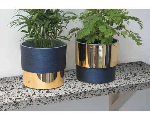 Deux plantes d''intérieur dans des pots avec une structure en bois et un accent doré sur un plan de travail